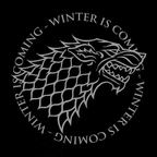 Game of Thrones House Stark herenhoodie - Fans Geek Storeproduct_type#ABYstyle