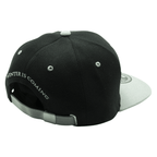 Game of Thrones House Stark snapback pet - Fans Geek Storeproduct_type#Game of Thrones