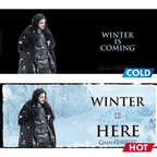 Game of Thrones Winter warmtegevoelige mok - Fans Geek Storeproduct_type#ABYstyle