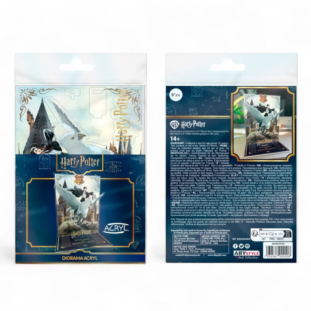 HARRY POTTER - Acryl Diorama - Harry & Buck in Hogwarts - Fans Geek Store