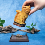 Harry Potter Crookshanks Magical Creatures verzamelbeeld - Fans Geek Storeproduct_type#The Noble Collection