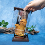 Harry Potter Crookshanks Magical Creatures verzamelbeeld - Fans Geek Storeproduct_type#The Noble Collection