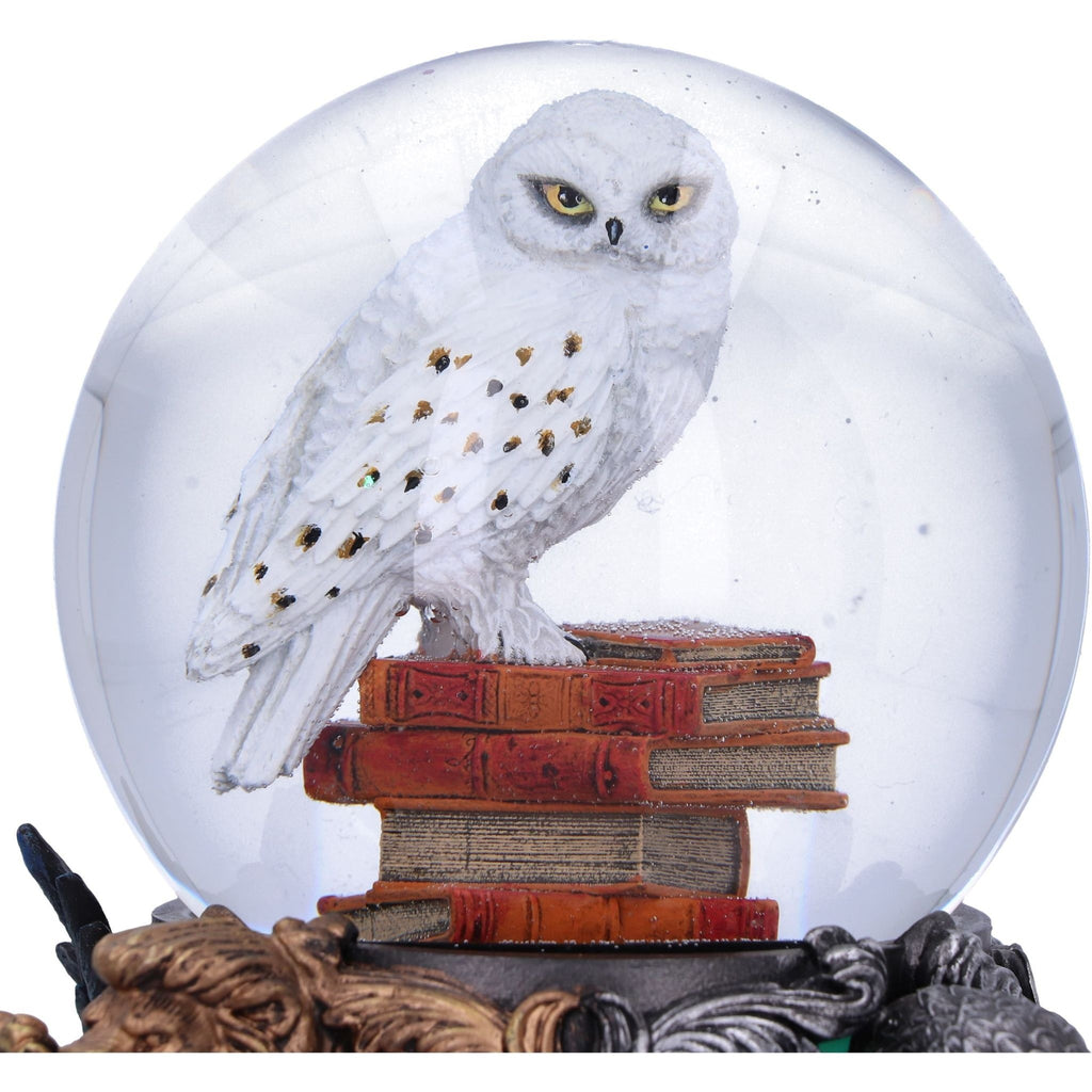 Harry Potter - Hedwig Snowglobe 18.5 cm - Fans Geek Store