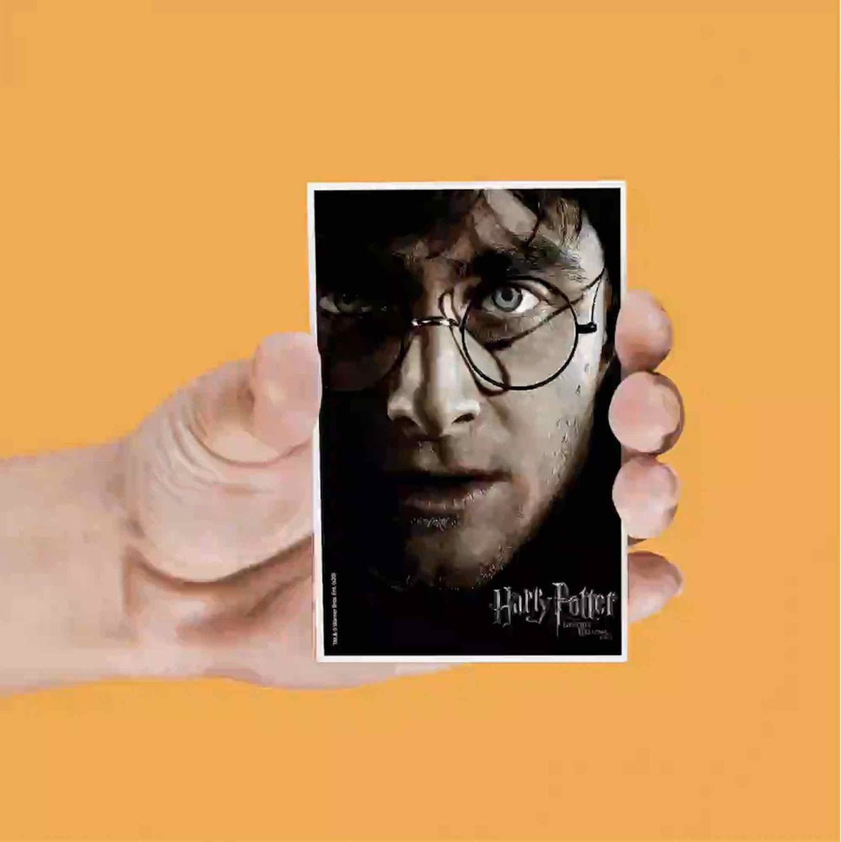 Harry Potter: Lenticular Magnet Set - Fans Geek Store