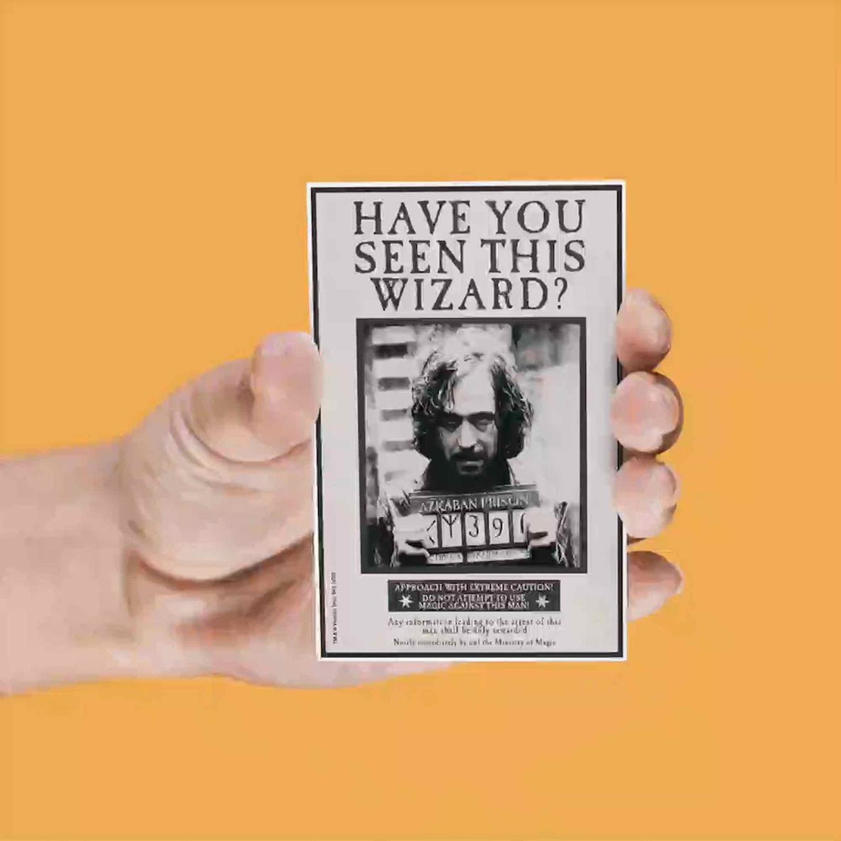 Harry Potter: Lenticular Magnet Set - Fans Geek Store