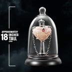 Harry Potter: Liefdesdrank Hanger & Display | The Noble Collection - Fans Geek Storeproduct_typeThe Noble Collection