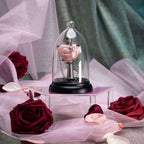 Harry Potter: Liefdesdrank Hanger & Display | The Noble Collection - Fans Geek Storeproduct_typeThe Noble Collection