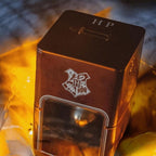 HARRY POTTER - Money Bank - Golden Snitch - Fans Geek Store