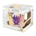HARRY POTTER - Mug - 250 ml - Amortentia - cardboard pkg - Fans Geek Store