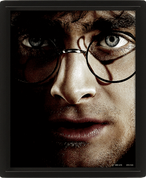 Harry Potter: Harry Potter vs Voldemort - Framed 3D Poster
