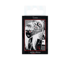 Junji Ito Tomie Magneet (5.5 x 8 cm) - Fans Geek Storeproduct_typeABYstyle