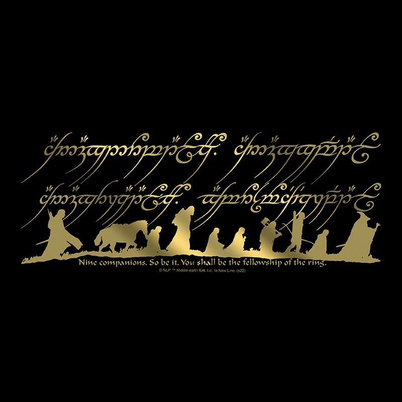 Lord of the Rings etui The Fellowship of the Ring - Fans Geek Storeproduct_typeABYstyle