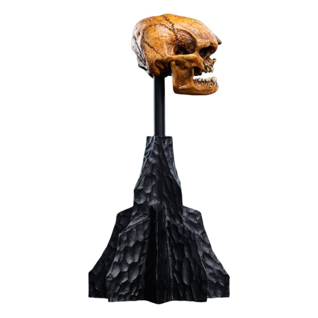 Lord of the Rings Mini Statue Skull of a Misty Mountain Goblin - Fans Geek Store