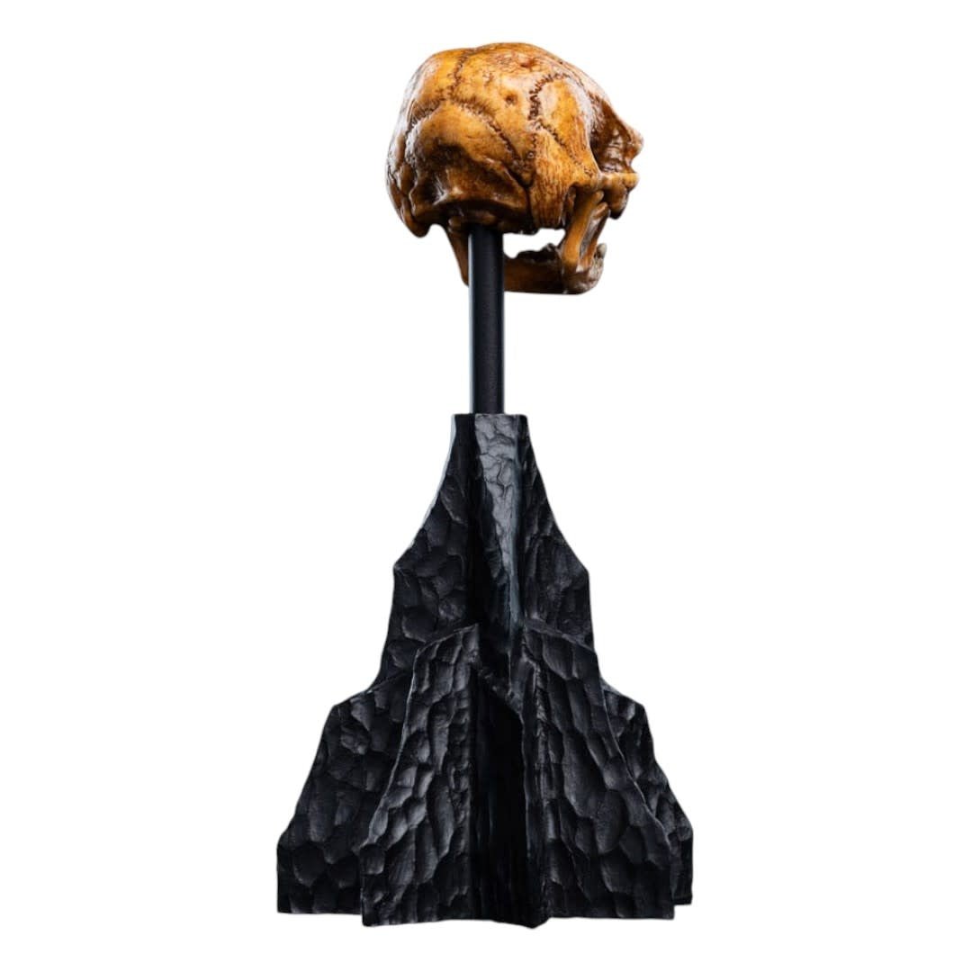Lord of the Rings Mini Statue Skull of a Misty Mountain Goblin - Fans Geek Store