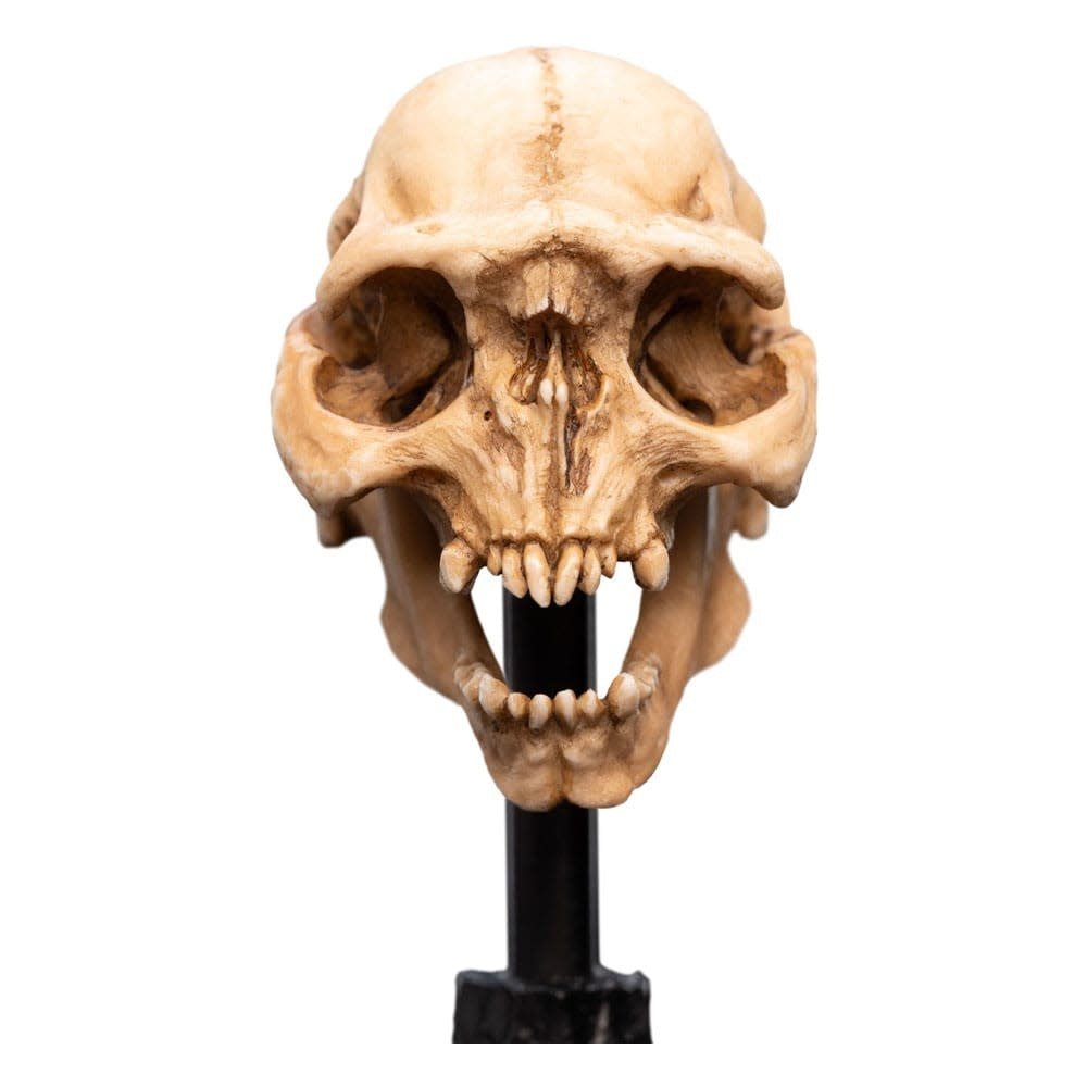Lord of the Rings Mini Statue Skull of a Moria Orc 13 cm - Fans Geek Store