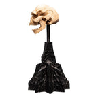 Lord of the Rings Mini Statue Skull of a Moria Orc 13 cm - Fans Geek Store