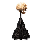 Lord of the Rings Mini Statue Skull of a Moria Orc 13 cm - Fans Geek Store