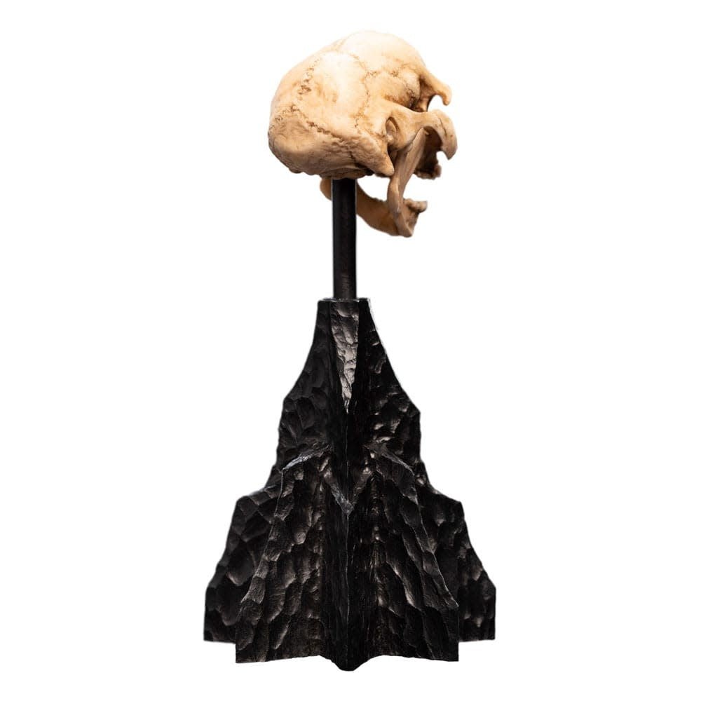 Lord of the Rings Mini Statue Skull of a Moria Orc 13 cm - Fans Geek Store