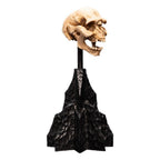 Lord of the Rings Mini Statue Skull of a Moria Orc 13 cm - Fans Geek Store