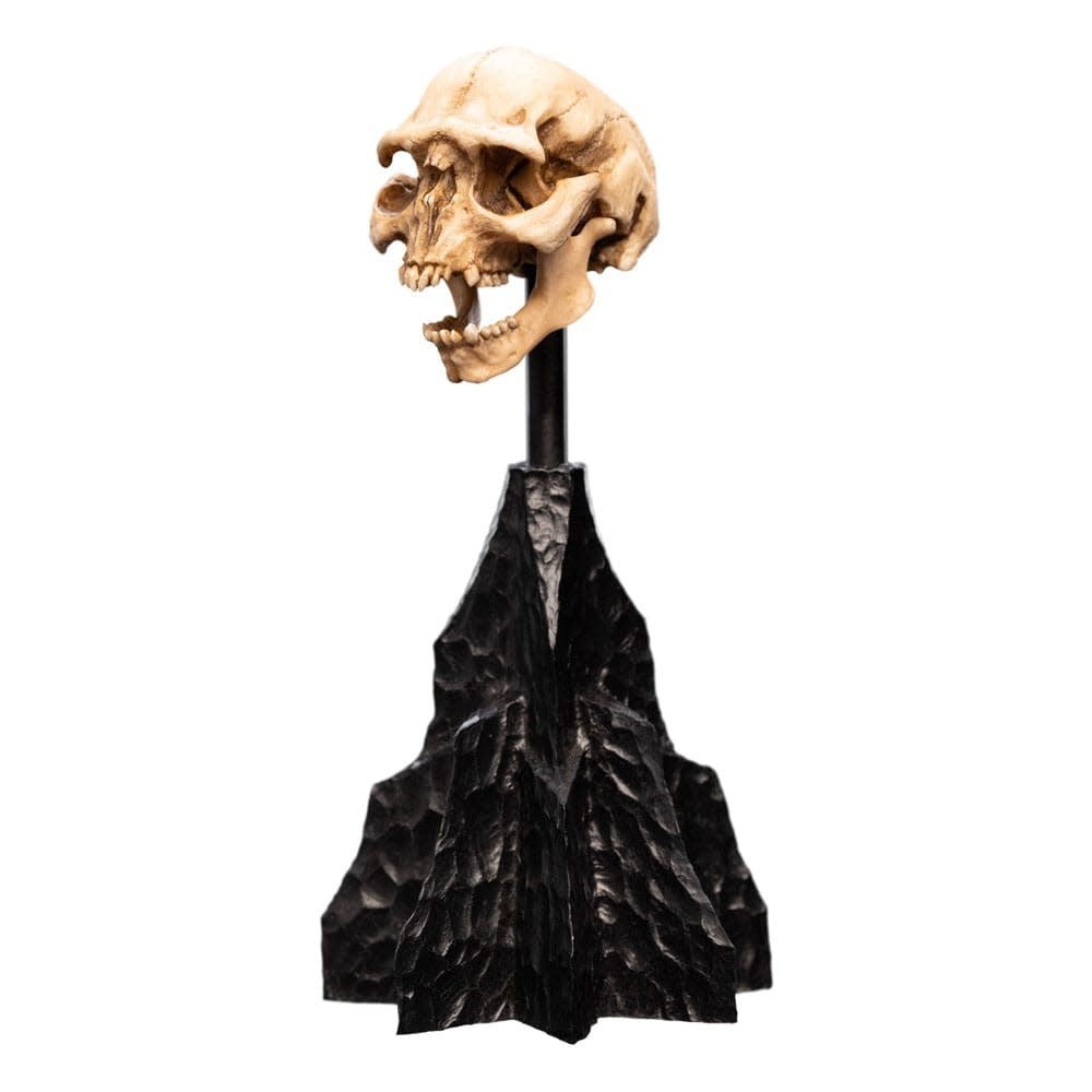 Lord of the Rings Mini Statue Skull of a Moria Orc 13 cm - Fans Geek Store