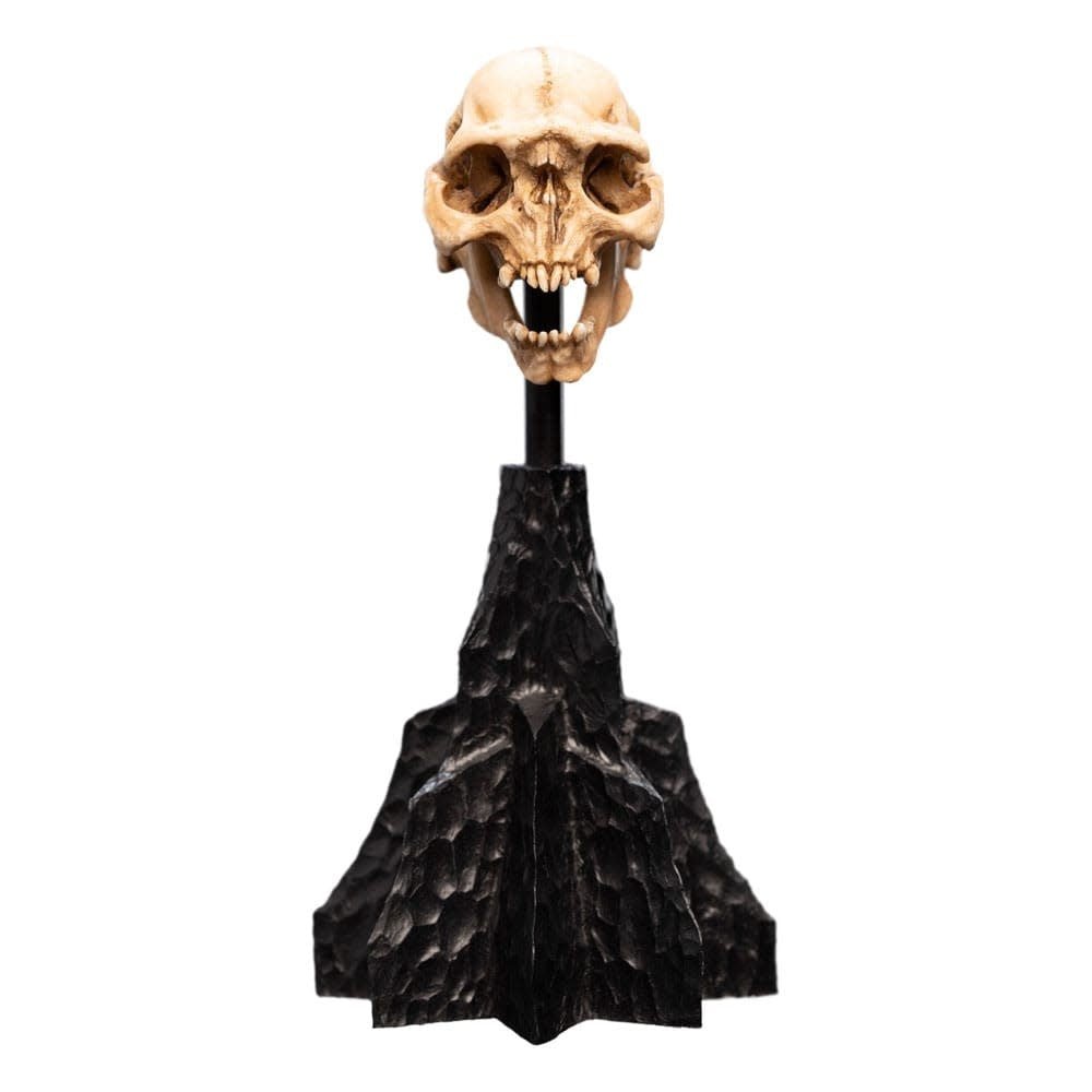 Lord of the Rings Mini Statue Skull of a Moria Orc 13 cm - Fans Geek Store