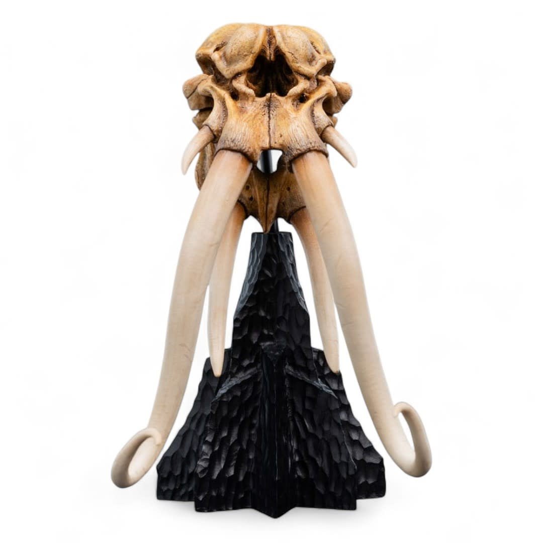 Lord of the Rings Mini Statue Skull of a Mumak - Fans Geek Store