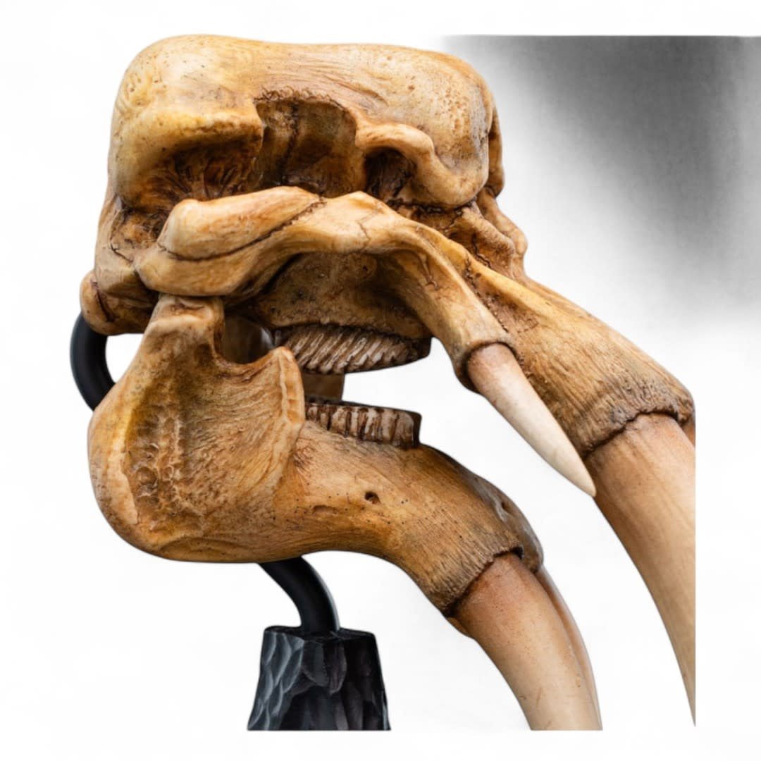 Lord of the Rings Mini Statue Skull of a Mumak - Fans Geek Store