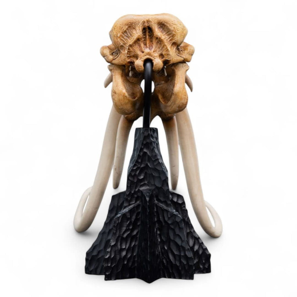 Lord of the Rings Mini Statue Skull of a Mumak - Fans Geek Store