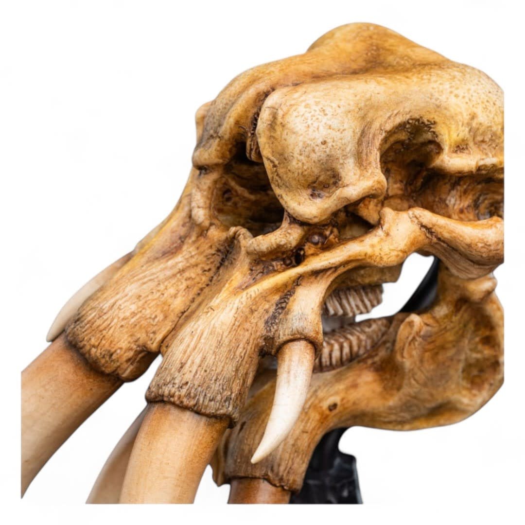 Lord of the Rings Mini Statue Skull of a Mumak - Fans Geek Store