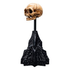 Lord of the Rings Mini Statue Skull of Gollum 13 cm - Fans Geek Store