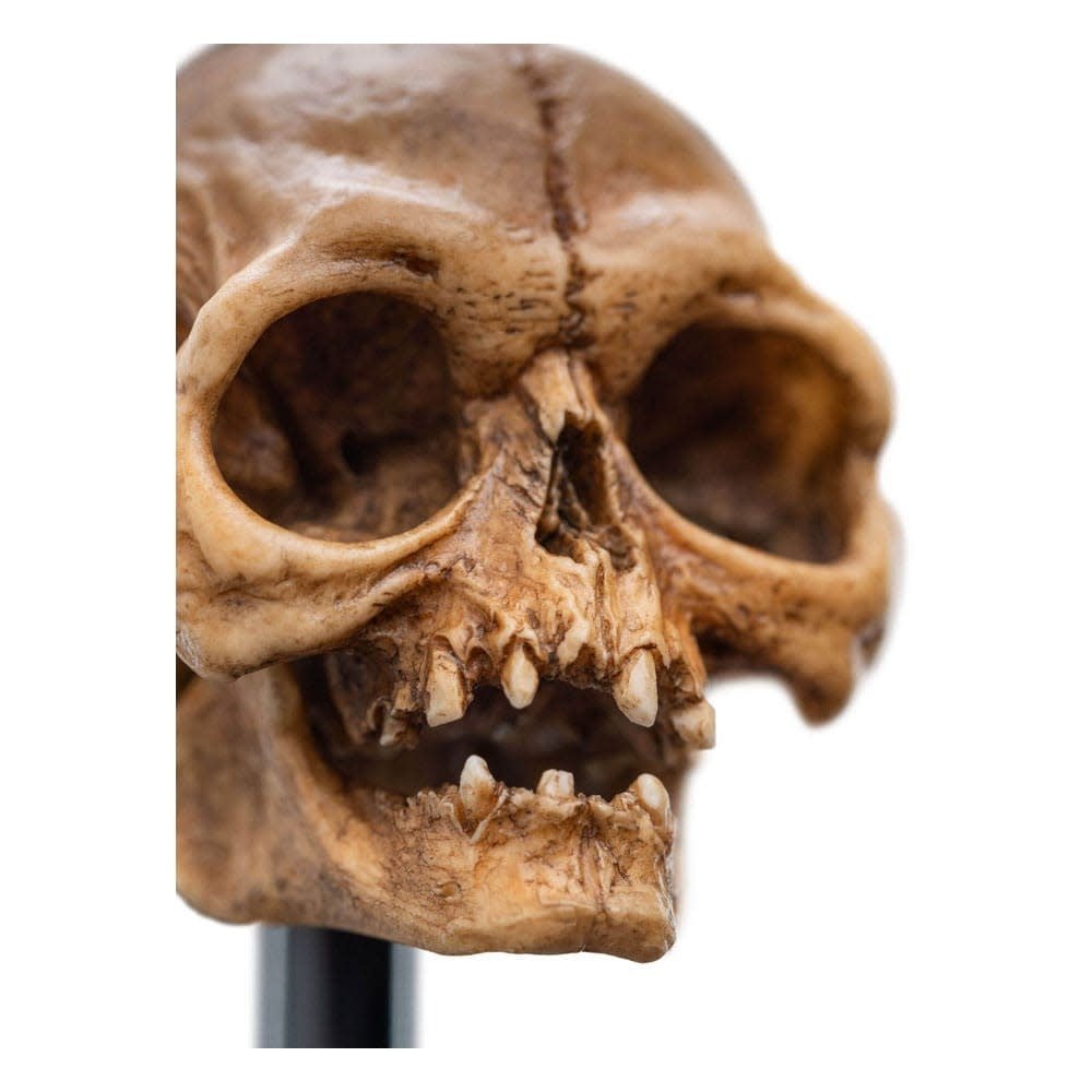 Lord of the Rings Mini Statue Skull of Gollum 13 cm - Fans Geek Store