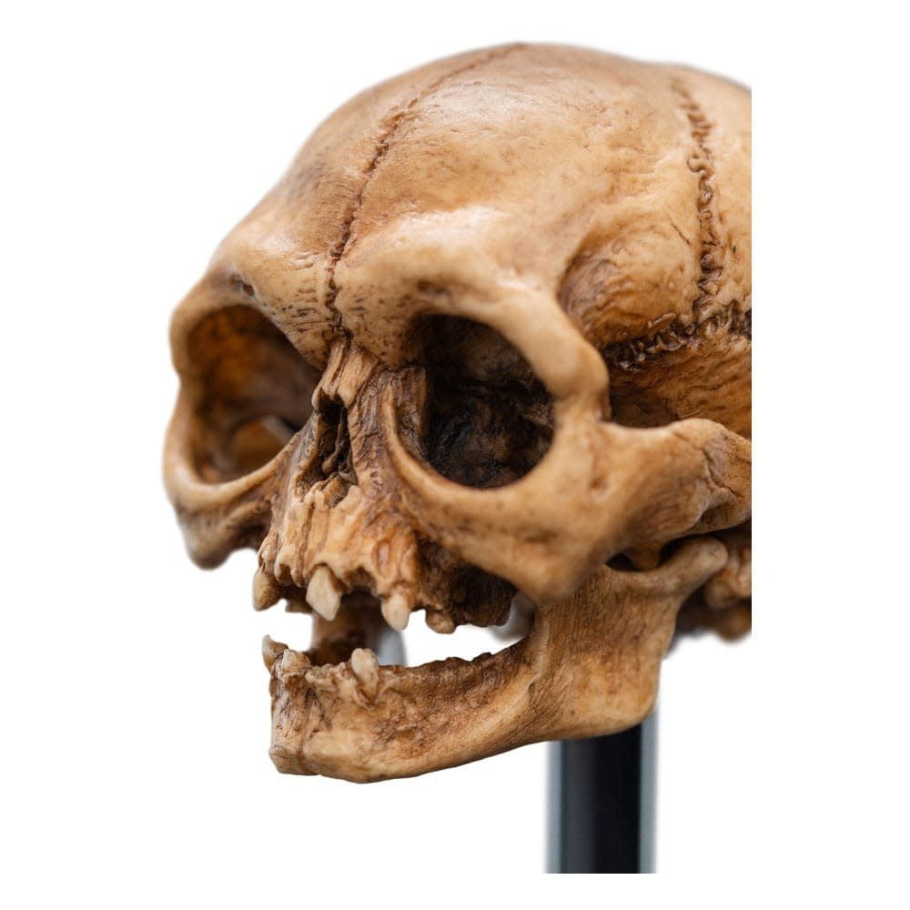 Lord of the Rings Mini Statue Skull of Gollum 13 cm - Fans Geek Store