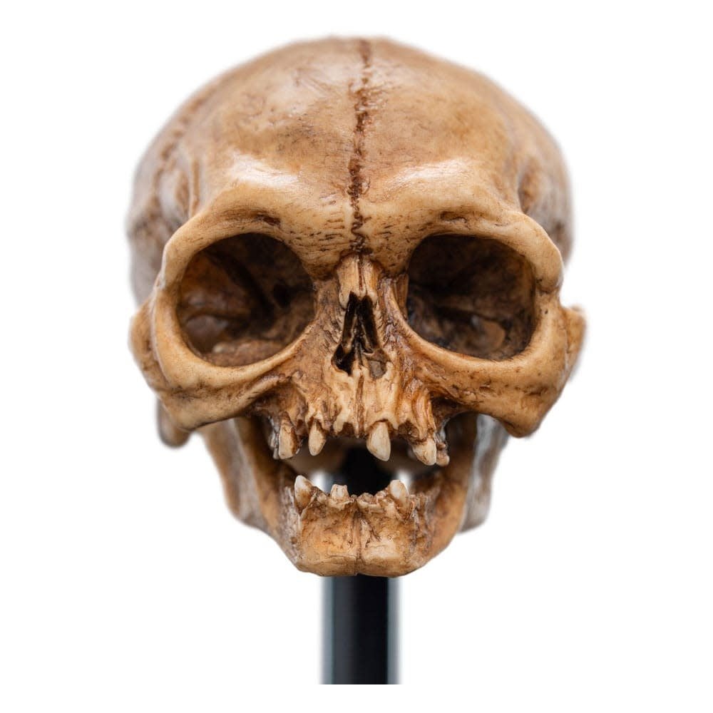 Lord of the Rings Mini Statue Skull of Gollum 13 cm - Fans Geek Store