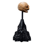 Lord of the Rings Mini Statue Skull of Gollum 13 cm - Fans Geek Store