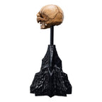 Lord of the Rings Mini Statue Skull of Gollum 13 cm - Fans Geek Store