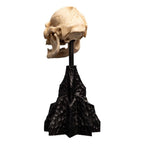 Lord of the Rings Mini Statue Skull of Lurtz 14 cm - Fans Geek Store