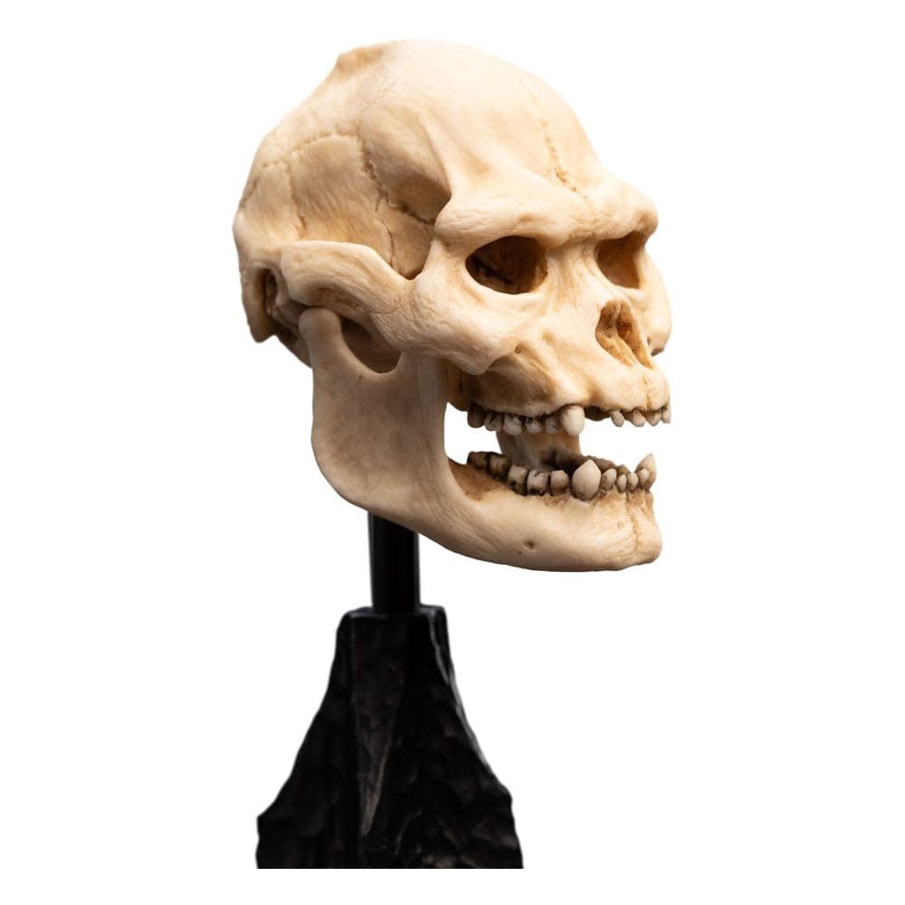 Lord of the Rings Mini Statue Skull of Lurtz 14 cm - Fans Geek Store