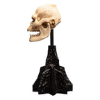 Lord of the Rings Mini Statue Skull of Lurtz 14 cm - Fans Geek Store
