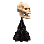 Lord of the Rings Mini Statue Skull of Lurtz 14 cm - Fans Geek Store