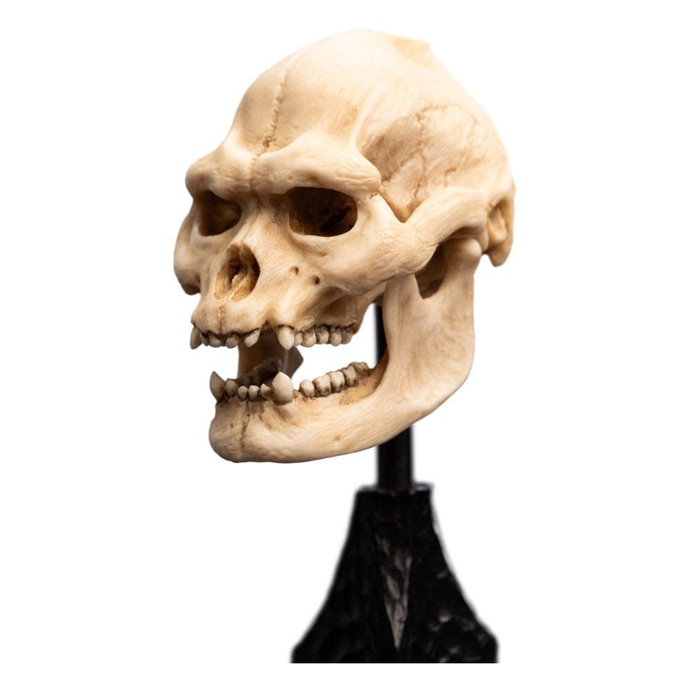 Lord of the Rings Mini Statue Skull of Lurtz 14 cm - Fans Geek Store