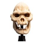 Lord of the Rings Mini Statue Skull of Lurtz 14 cm - Fans Geek Store