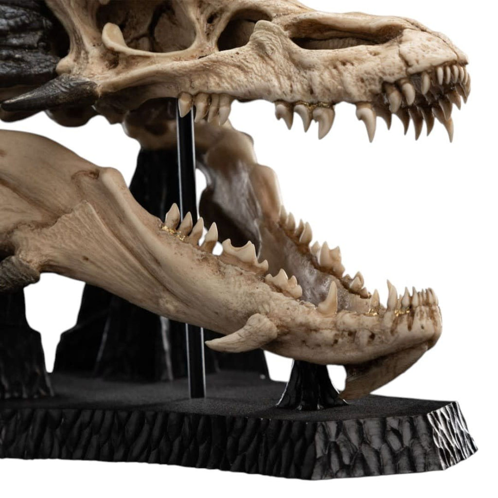 Lord of the Rings Mini Statue Skull of Smaug - Fans Geek Store