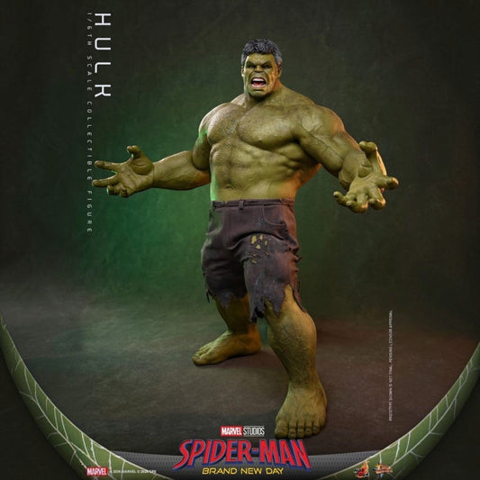 Marvel Spider-Man: Brand New Day - Hulk 1/6 Actiefiguur 51 cm - Fans Geek Storeproduct_typeHot Toys