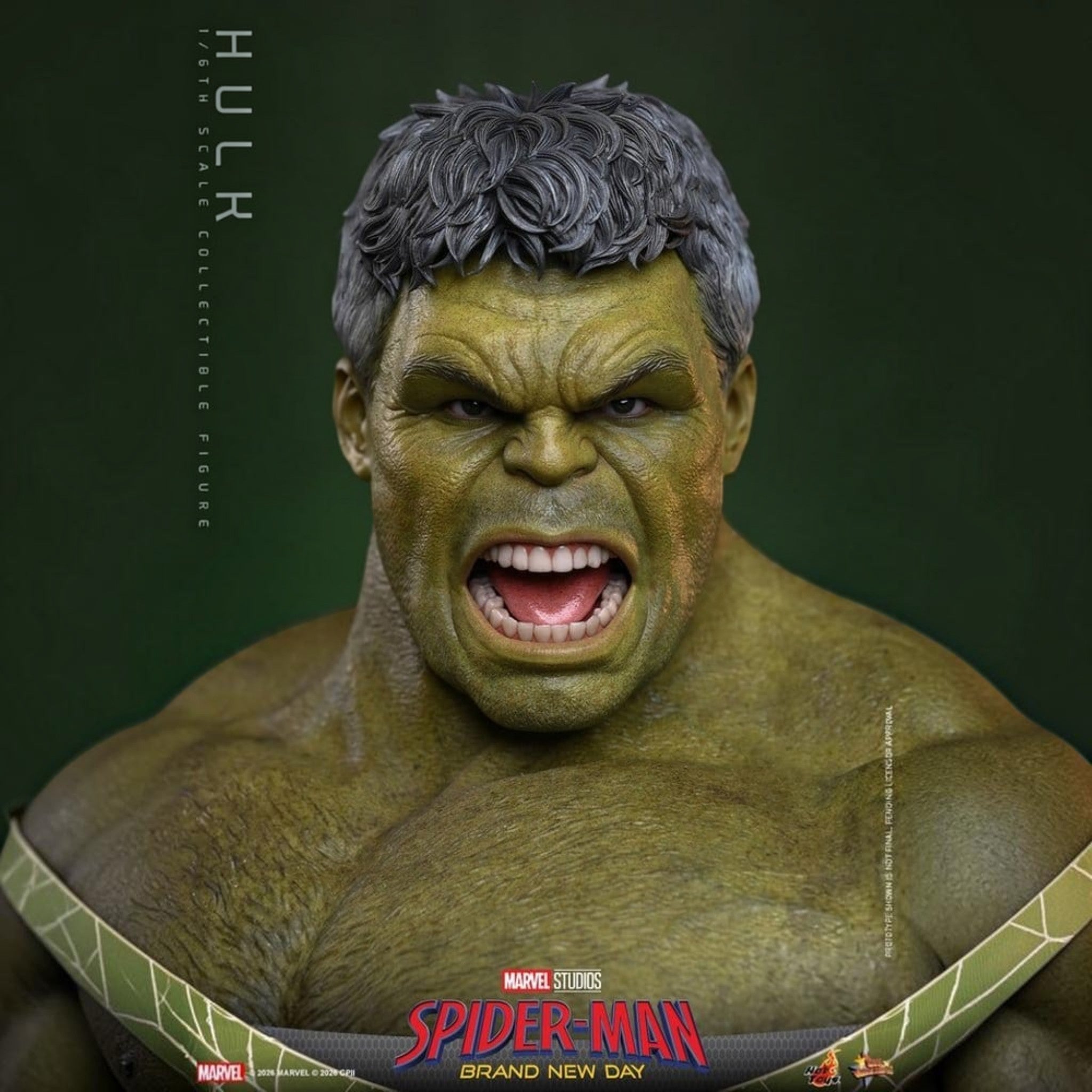 Marvel Spider-Man: Brand New Day - Hulk 1/6 Actiefiguur 51 cm - Fans Geek Storeproduct_typeHot Toys