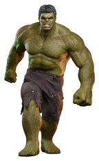 Marvel Spider-Man: Brand New Day - Hulk 1/6 Actiefiguur 51 cm - Fans Geek Storeproduct_typeHot Toys