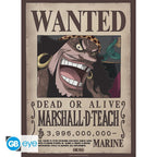 ONE PIECE Chibi Posters Shanks & Blackbeard | Set van 2 | 52x38cm | GB Eye - Fans Geek Storeproduct_typeGB eye