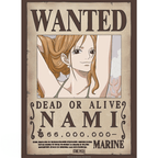 One Piece Chibi-posterset Nami & Robin - Fans Geek Storeproduct_type#GB eye