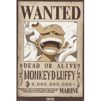 One Piece Luffy Wanted Wano poster 91,5 × 61 cm - Fans Geek Storeproduct_type#GB eye