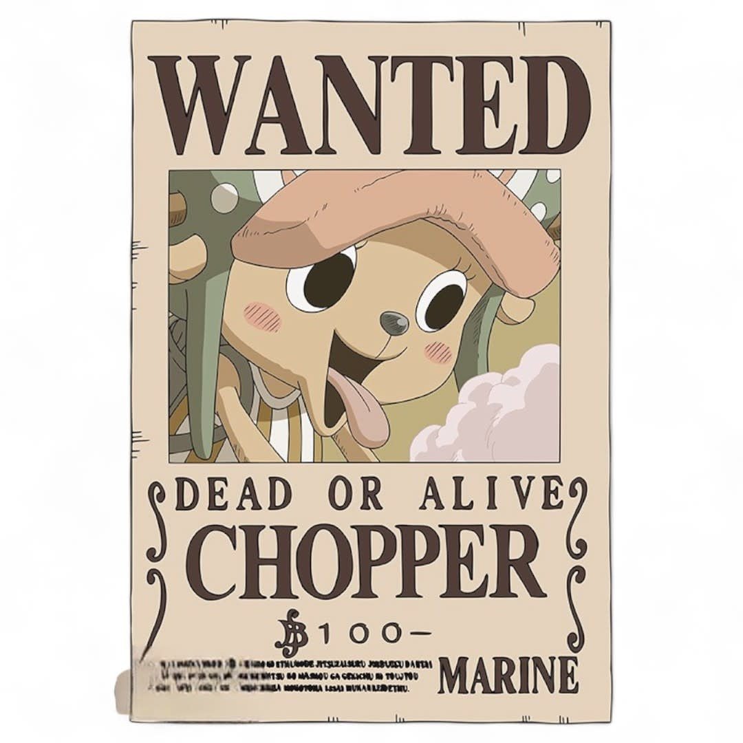 ONE PIECE - Postcards - Wanted Set 1 - Fans Geek Store