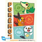 Pokémon Poster Portfolio Starters GB eye 21x29.7cm
